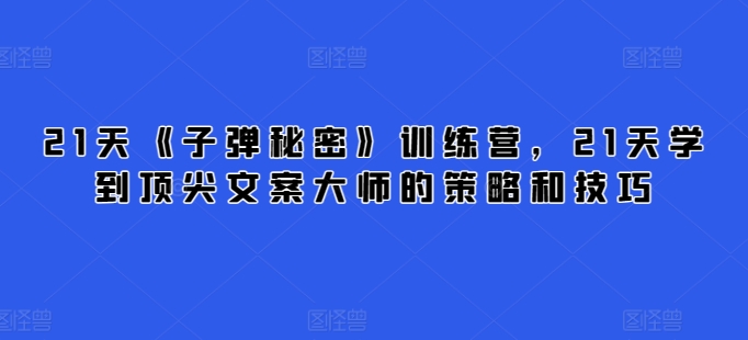 21天《子弹秘密》训练营，21天学到顶尖文案大师的策略和技巧-林文副业站