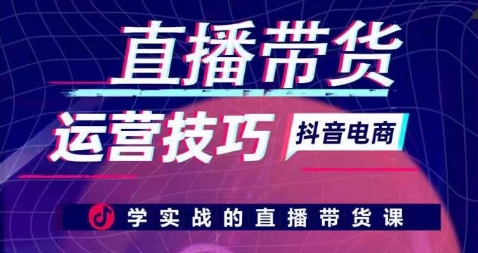 直播带货运营技巧，学实战的直播带货课-林文副业站