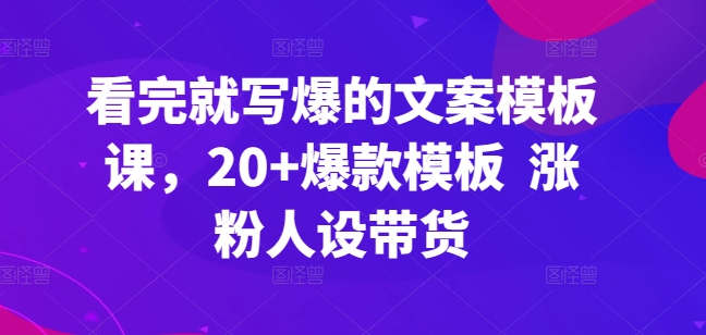 看完就写爆的文案模板课，20+爆款模板  涨粉人设带货-林文副业站