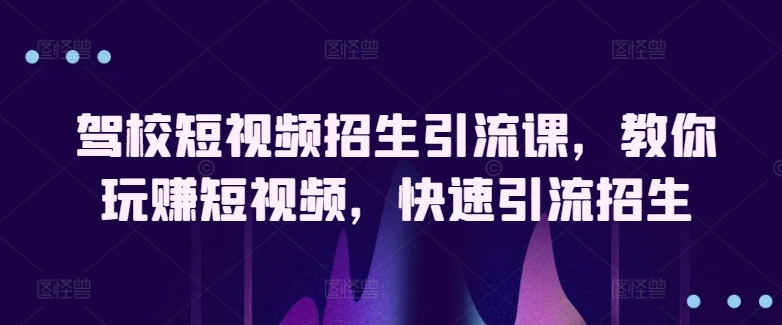 驾校短视频招生引流课，教你玩赚短视频，快速引流招生-林文副业站