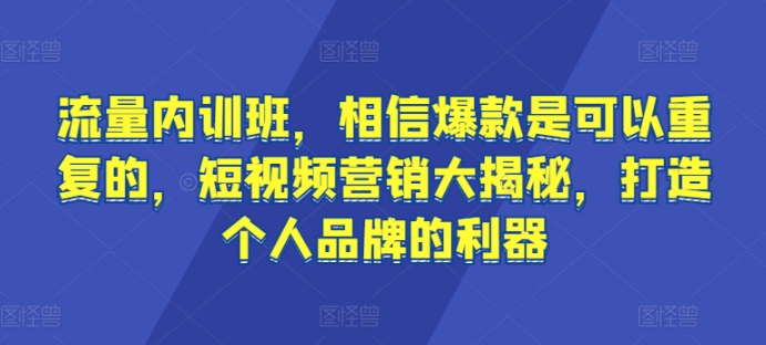 流量内训班，相信爆款是可以重复的，短视频营销大揭秘，打造个人品牌的利器-林文副业站