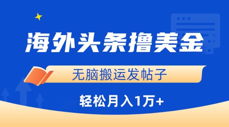 海外头条撸美金，无脑搬运发帖子，月入1万+，小白轻松掌握【揭秘】-林文副业站
