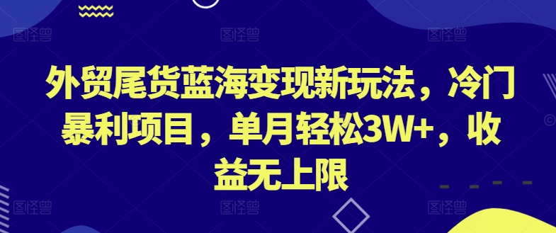 外贸尾货蓝海变现新玩法，冷门暴利项目，单月轻松3W+，收益无上限【揭秘】-林文副业站