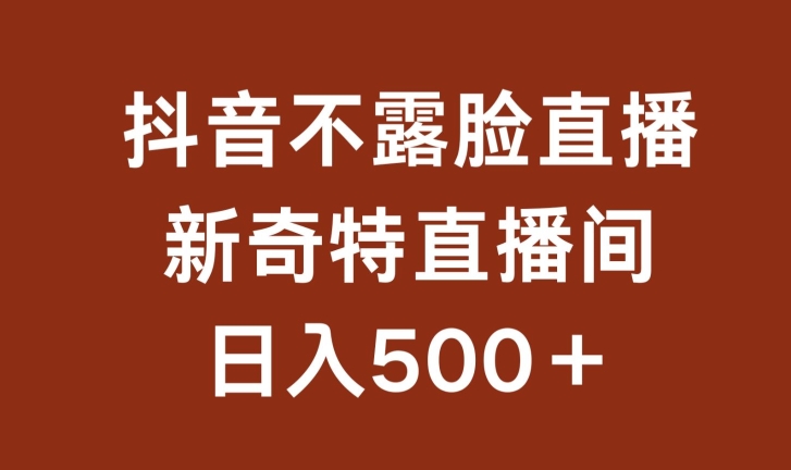 不露脸挂机直播，新奇特直播间，日入500+【揭秘】-林文副业站