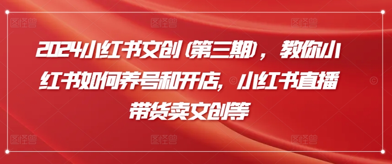 2024小红书文创(第三期)，教你小红书如何养号和开店，小红书直播带货卖文创等-林文副业站