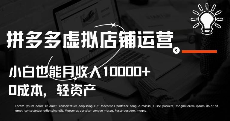 拼多多虚拟店铺运营小白也能月收入10000+【揭秘】-林文副业站
