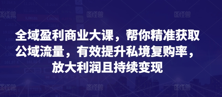 全域盈利商业大课，帮你精准获取公域流量，有效提升私境复购率，放大利润且持续变现-林文副业站