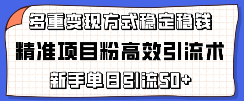 精准项目粉高效引流术，新手单日引流50+，多重变现方式稳定赚钱【揭秘】-林文副业站