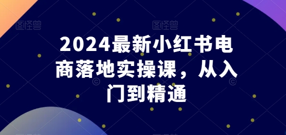 2024最新小红书电商落地实操课，从入门到精通-林文副业站