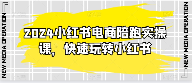 2024小红书电商陪跑实操课，快速玩转小红书，超过20节精细化课程-林文副业站