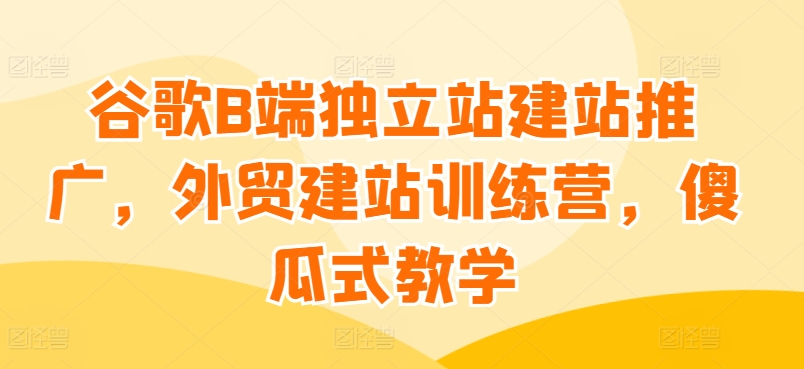 谷歌B端独立站建站推广，外贸建站训练营，傻瓜式教学-林文副业站