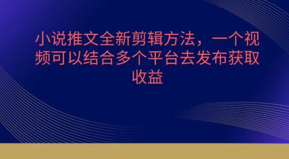 小说推文全新剪辑方法，一个视频可以结合多个平台去发布获取【揭秘】-林文副业站