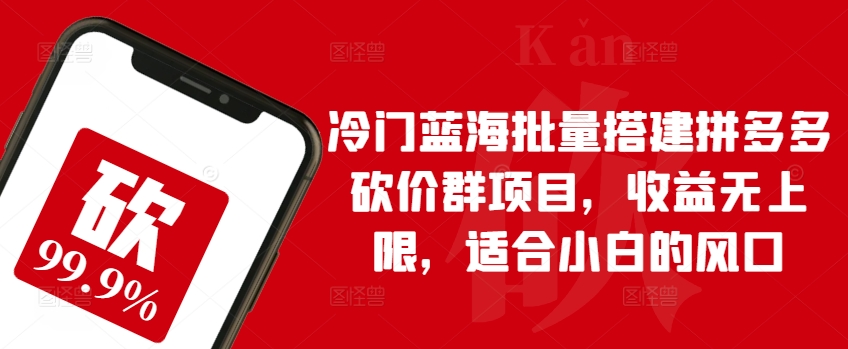 冷门蓝海批量搭建拼多多砍价群项目，收益无上限，适合小白的风口【揭秘】-林文副业站