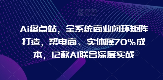 Ai终点站，全系统商业闭环矩阵打造，帮电商、实体降70%成本，12款Ai联合深度实战-林文副业站