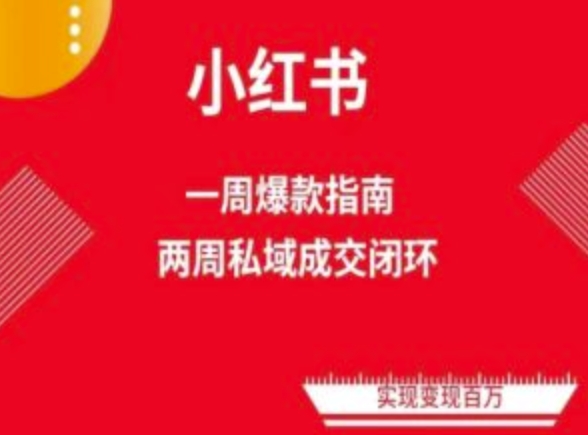 爆款小红书免费流量体系课程(两周变现)，小红书电商教程-林文副业站