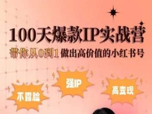 小红书100天爆款IP实战营，带你从0到1做出高价值的小红书号-林文副业站