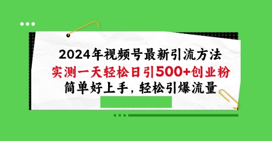 2024年视频号最新引流方法，实测一天轻松日引100+创业粉，简单好上手，轻松引爆流量【揭秘】-林文副业站