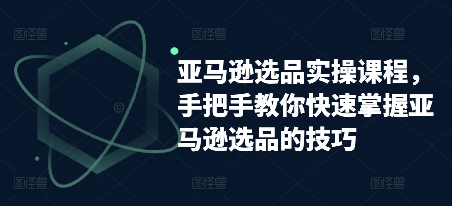 亚马逊选品实操课程，手把手教你快速掌握亚马逊选品的技巧-林文副业站