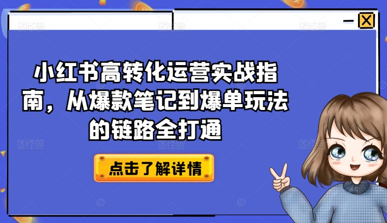 小红书高转化运营实战指南，从爆款笔记到爆单玩法的链路全打通-林文副业站