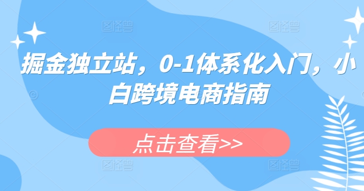 掘金独立站，0-1体系化入门，小白跨境电商指南-林文副业站
