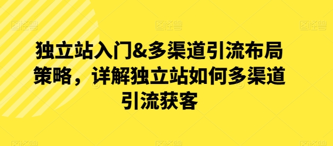 独立站入门&多渠道引流布局策略，详解独立站如何多渠道引流获客-林文副业站