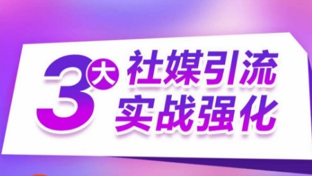 3大社媒引流实战强化，多渠道站外引流，高效精准获客，订单销售额翻倍增长-林文副业站