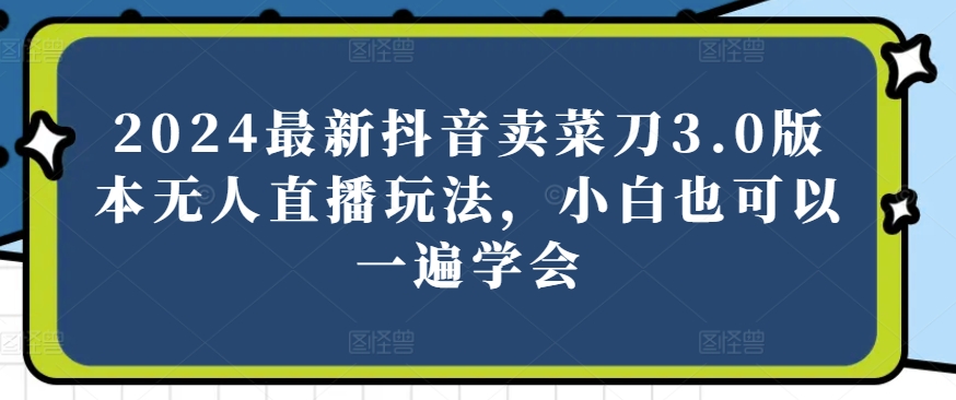 2024最新抖音卖菜刀3.0版本无人直播玩法，小白也可以一遍学会【揭秘】-林文副业站