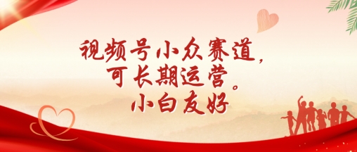 视频号小众赛道，可长期运营，小白友好【揭秘】-林文副业站