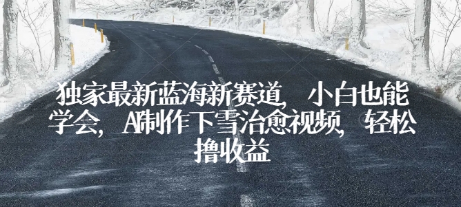 独家最新蓝海新赛道，小白也能学会，AI制作下雪治愈视频，轻松撸收益【揭秘】-林文副业站