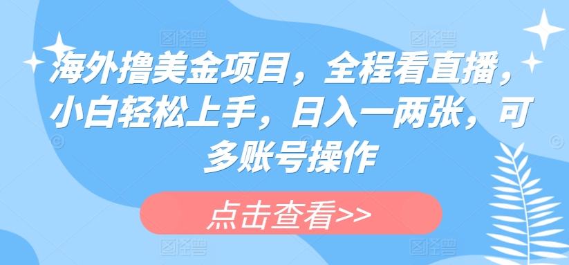 海外撸美金项目，全程看直播，小白轻松上手，日入一两张，可多账号操作【揭秘】-林文副业站