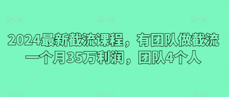 2024最新截流课程，有团队做截流一个月35万利润，团队4个人-林文副业站