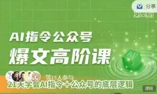 Ai指令公众号高阶课，学会ai指令+公众号的底层逻辑-林文副业站