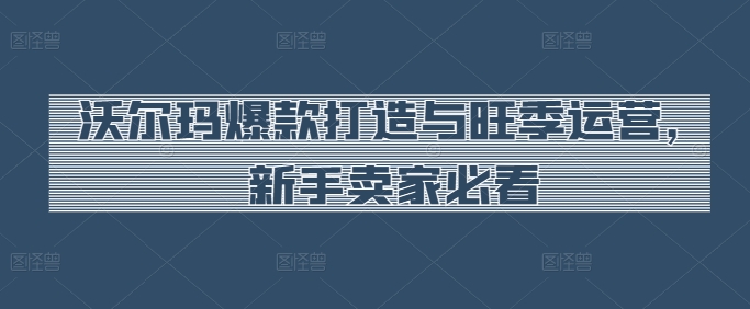 沃尔玛爆款打造与旺季运营，新手卖家必看-林文副业站