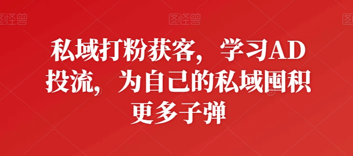 私域打粉获客，学习AD投流，为自己的私域囤积更多子弹-林文副业站