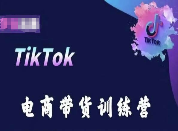 TikTok电商带货训练营，跟随时代潮流，跨境掘金-林文副业站