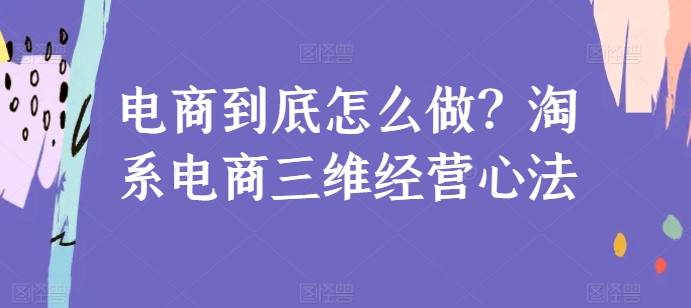 电商到底怎么做？淘系电商三维经营心法-林文副业站