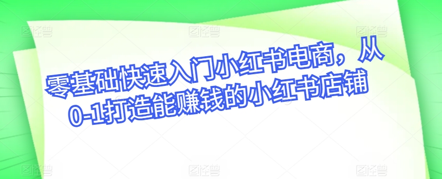 零基础快速入门小红书电商，从0-1打造能赚钱的小红书店铺-林文副业站