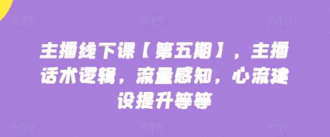 主播线下课【第五期】，主播话术逻辑，流量感知，心流建设提升等等-林文副业站