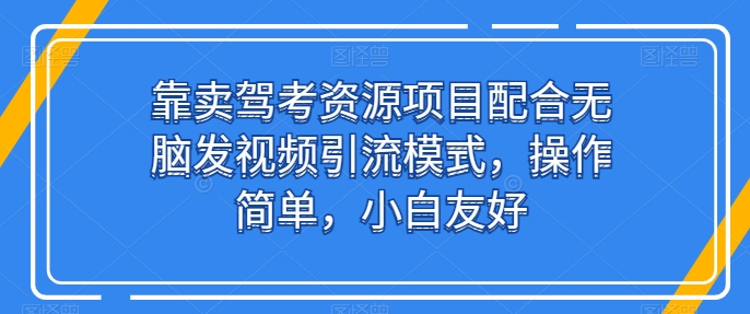靠卖驾考资源项目配合无脑发视频引流模式，操作简单，小白友好【揭秘】-林文副业站