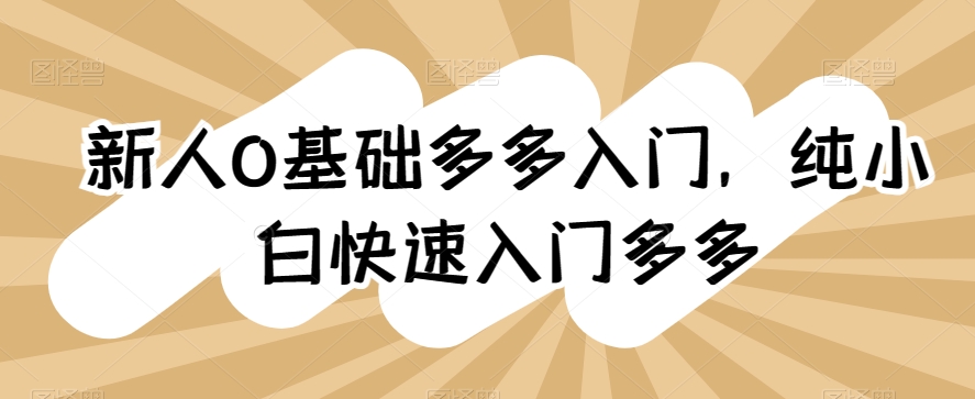 新人0基础多多入门，​纯小白快速入门多多-林文副业站
