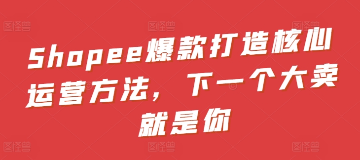 Shopee爆款打造核心运营方法，下一个大卖就是你-林文副业站