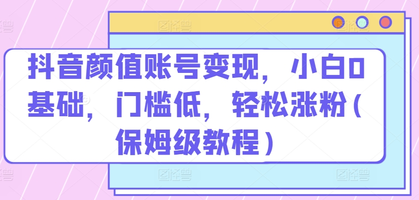 抖音颜值账号变现，小白0基础，门槛低，​轻松涨粉(保姆级教程)【揭秘】-林文副业站