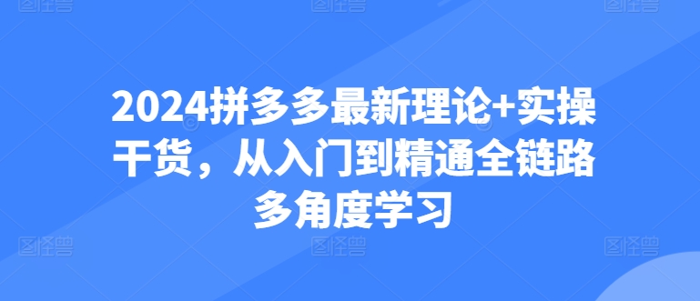 2024拼多多最新理论+实操干货，从入门到精通全链路多角度学习-林文副业站