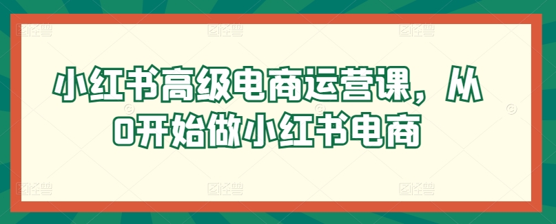 小红书高级电商运营课，从0开始做小红书电商-林文副业站