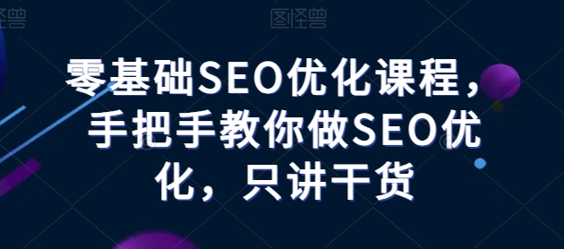 零基础SEO优化课程，手把手教你做SEO优化，只讲干货-林文副业站