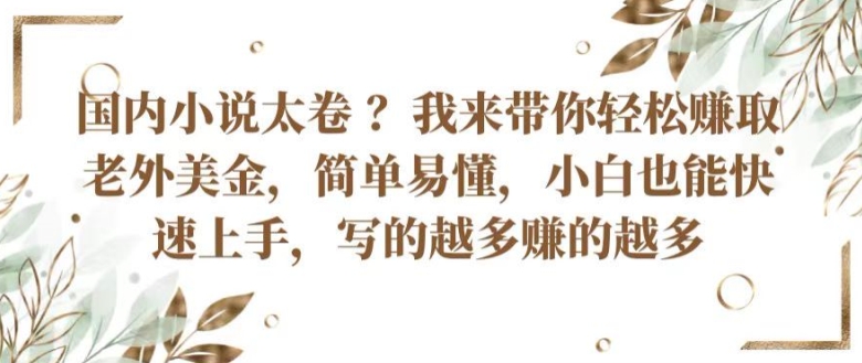 国内小说太卷 ?带你轻松赚取老外美金，简单易懂，小白也能快速上手，写的越多赚的越多【揭秘】-林文副业站