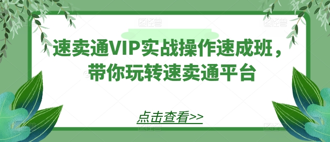 速卖通VIP实战操作速成班，带你玩转速卖通平台-林文副业站