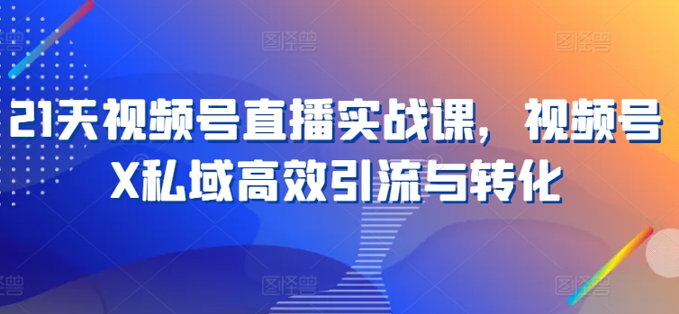 21天视频号直播实战课，视频号X私域高效引流与转化-林文副业站