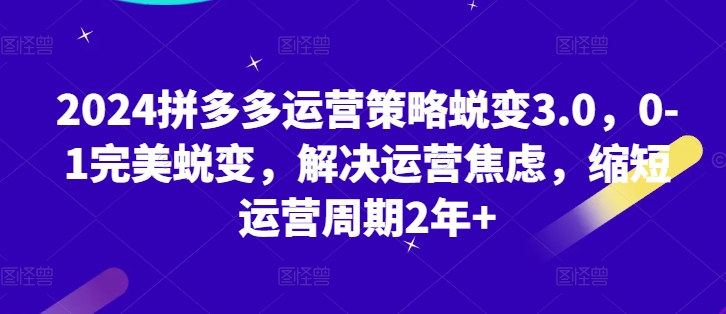 2024拼多多运营策略蜕变3.0，0-1完美蜕变，解决运营焦虑，缩短运营周期2年+-林文副业站