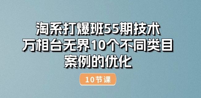 淘系打爆班55期技术：万相台无界10个不同类目案例的优化(10节)-林文副业站